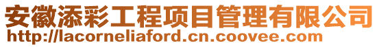 安徽添彩工程項目管理有限公司