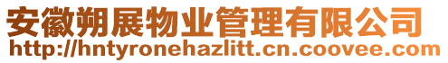 安徽朔展物業(yè)管理有限公司