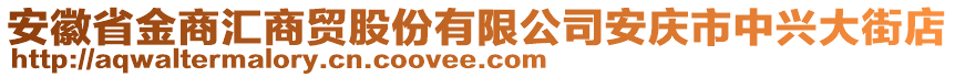 安徽省金商匯商貿(mào)股份有限公司安慶市中興大街店