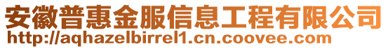 安徽普惠金服信息工程有限公司