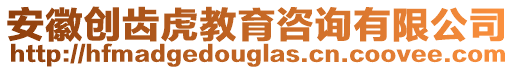 安徽創齒虎教育咨詢有限公司
