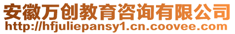 安徽萬創教育咨詢有限公司