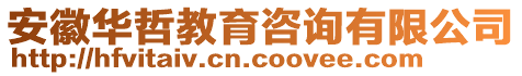 安徽華哲教育咨詢有限公司