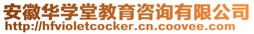 安徽華學堂教育咨詢有限公司