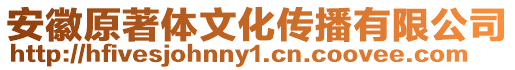安徽原著體文化傳播有限公司