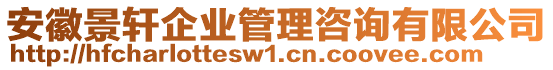 安徽景軒企業(yè)管理咨詢有限公司