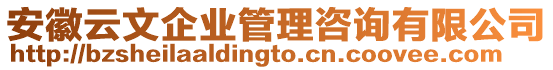 安徽云文企業(yè)管理咨詢有限公司