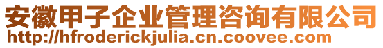 安徽甲子企業(yè)管理咨詢有限公司