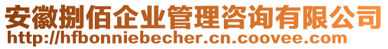 安徽捌佰企業管理咨詢有限公司