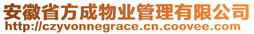 安徽省方成物業管理有限公司