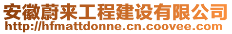 安徽蔚來工程建設有限公司