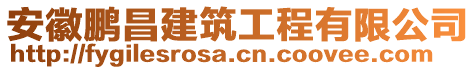 安徽鵬昌建筑工程有限公司