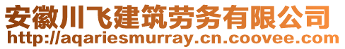 安徽川飛建筑勞務(wù)有限公司