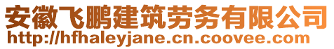 安徽飛鵬建筑勞務(wù)有限公司