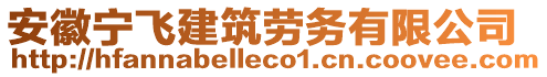 安徽寧飛建筑勞務有限公司