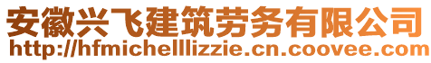 安徽興飛建筑勞務(wù)有限公司