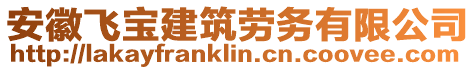 安徽飛寶建筑勞務有限公司