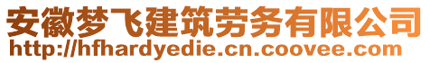 安徽夢飛建筑勞務有限公司