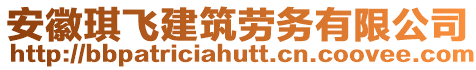 安徽琪飛建筑勞務有限公司