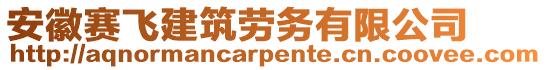 安徽賽飛建筑勞務有限公司