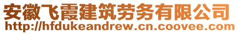 安徽飛霞建筑勞務(wù)有限公司