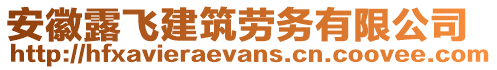 安徽露飛建筑勞務有限公司