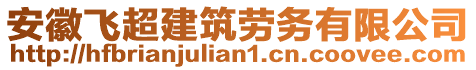 安徽飛超建筑勞務(wù)有限公司