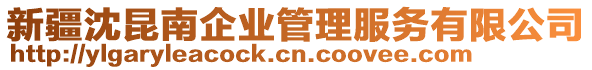 新疆沈昆南企業(yè)管理服務(wù)有限公司