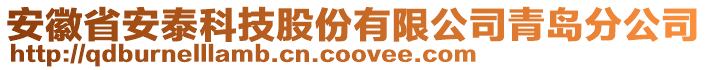 安徽省安泰科技股份有限公司青島分公司