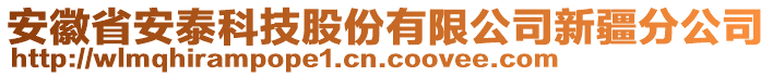 安徽省安泰科技股份有限公司新疆分公司