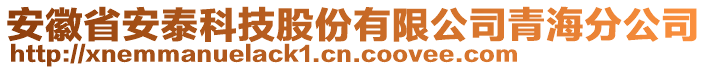 安徽省安泰科技股份有限公司青海分公司