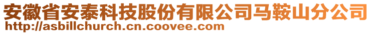 安徽省安泰科技股份有限公司馬鞍山分公司