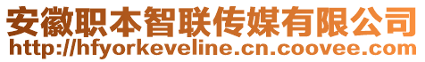 安徽職本智聯(lián)傳媒有限公司