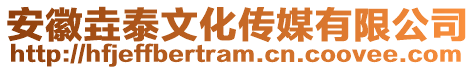 安徽垚泰文化傳媒有限公司