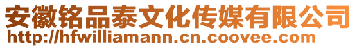 安徽銘品泰文化傳媒有限公司