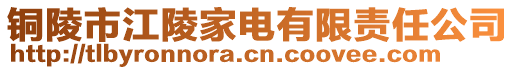 銅陵市江陵家電有限責(zé)任公司