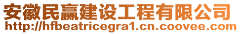 安徽民贏建設(shè)工程有限公司