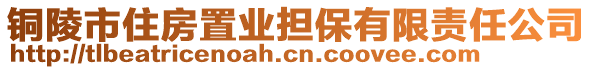 銅陵市住房置業(yè)擔(dān)保有限責(zé)任公司