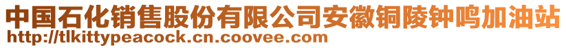 中國(guó)石化銷售股份有限公司安徽銅陵鐘鳴加油站