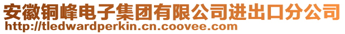 安徽銅峰電子集團(tuán)有限公司進(jìn)出口分公司