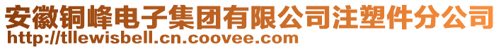 安徽銅峰電子集團有限公司注塑件分公司