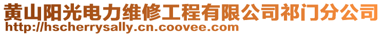 黃山陽光電力維修工程有限公司祁門分公司