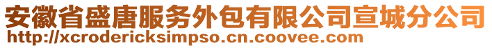 安徽省盛唐服務(wù)外包有限公司宣城分公司