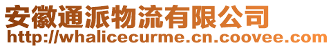 安徽通派物流有限公司
