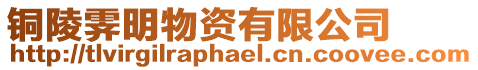 銅陵霽明物資有限公司