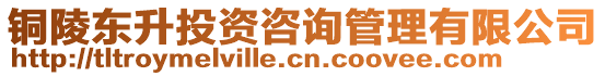 銅陵東升投資咨詢管理有限公司