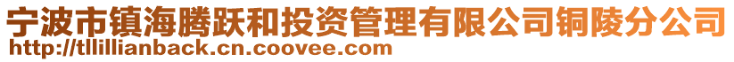 寧波市鎮(zhèn)海騰躍和投資管理有限公司銅陵分公司