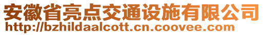 安徽省亮點交通設(shè)施有限公司