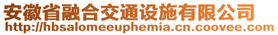 安徽省融合交通設(shè)施有限公司