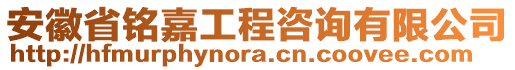 安徽省銘嘉工程咨詢有限公司